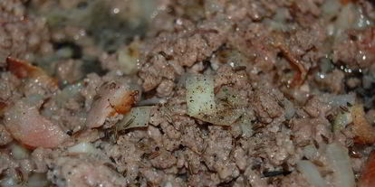 Шаг 2: мясного рулета с беконом и тмином