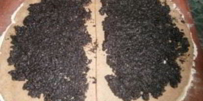 Шаг 1: рулета из творожного теста с маком