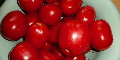 Шаг 1: вяленых помидоров в электросушилке