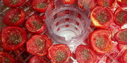 Шаг 10: вяленых помидоров в электросушилке