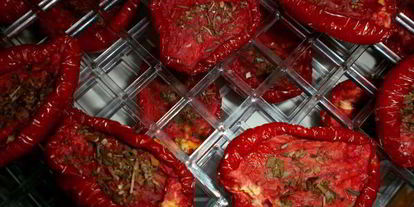 Шаг 11: вяленых помидоров в электросушилке