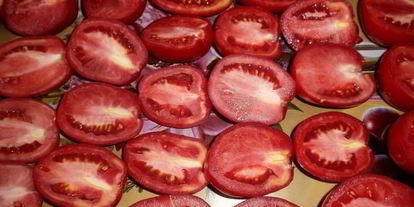 Шаг 2: вяленых помидоров в электросушилке