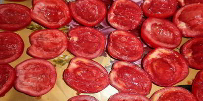 Шаг 3: вяленых помидоров в электросушилке