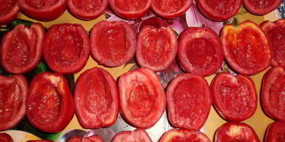 Шаг 5: вяленых помидоров в электросушилке