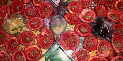 Шаг 7: вяленых помидоров в электросушилке