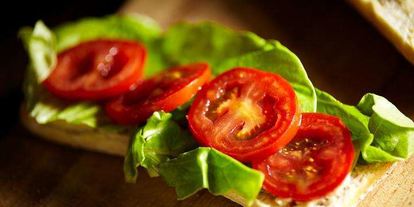 Шаг 5: теплого сэндвича с куриной грудкой