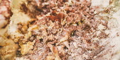 Шаг 1: шоколадных тарталеток