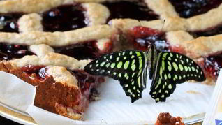 Рецепт Линцского тарта