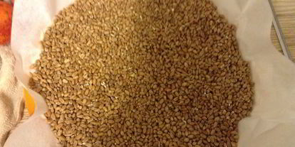 Шаг 5: тарта с абрикосами