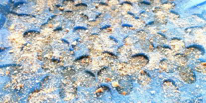 Шаг 10: яблочно-грушевого тарт татен