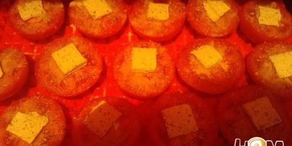 Шаг 3: закуски из морского черта