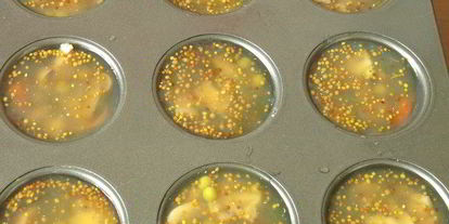 Шаг 7: грибного заливного постного