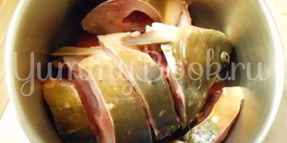 Шаг 8: заливного из карпа с буряком