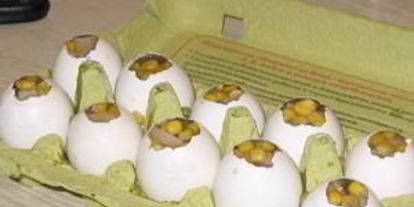 Шаг 4: заливного яйца фаберже