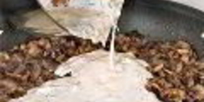 Шаг 1: жюльена из грибов