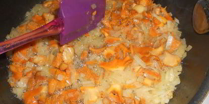 Шаг 1: жюльена иза лисичка